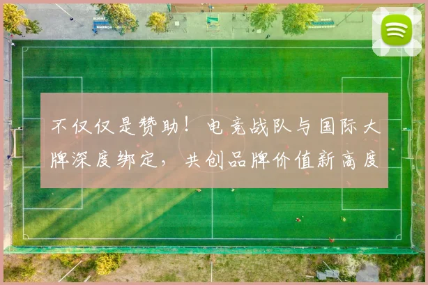 不仅仅是赞助！电竞战队与国际大牌深度绑定，共创品牌价值新高度